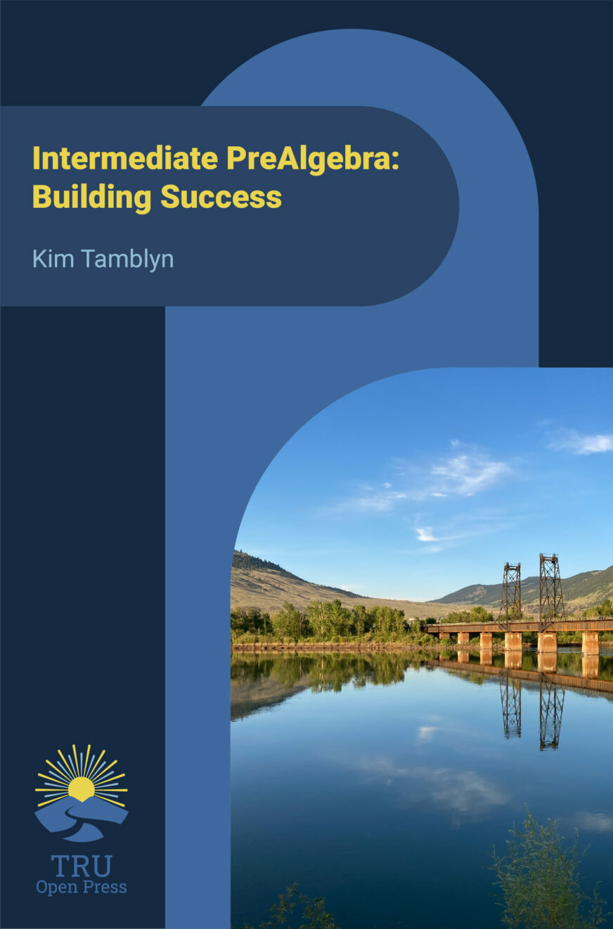 Cover image for Intermediate PreAlgebra: Building Success